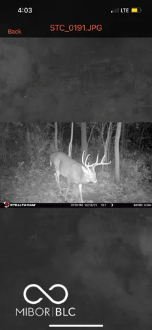 $614,900 | 7000 South Us Highway, Freedom, IN 47431