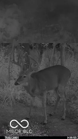 $594,900 | 7000 South Us Highway, Freedom, IN 47431