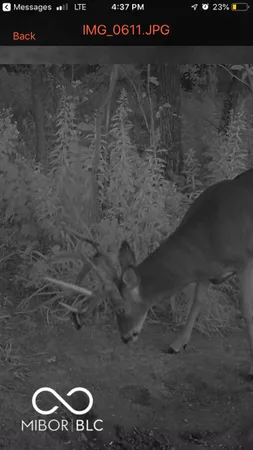 $594,900 | 7000 South Us Highway, Freedom, IN 47431