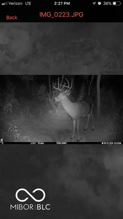 $594,900 | 7000 South Us Highway, Freedom, IN 47431