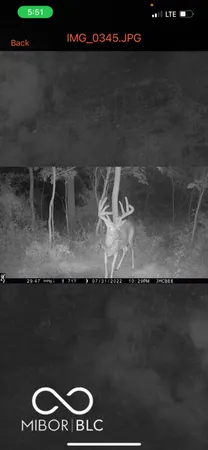 $594,900 | 7000 South Us Highway, Freedom, IN 47431