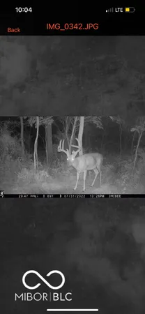 $594,900 | 7000 South Us Highway, Freedom, IN 47431