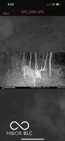 $594,900 | 7000 South Us Highway, Freedom, IN 47431