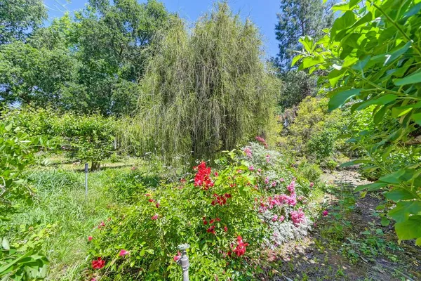 $1,429,000 | 5424 Fair Oaks Boulevard, Carmichael, CA 95608
