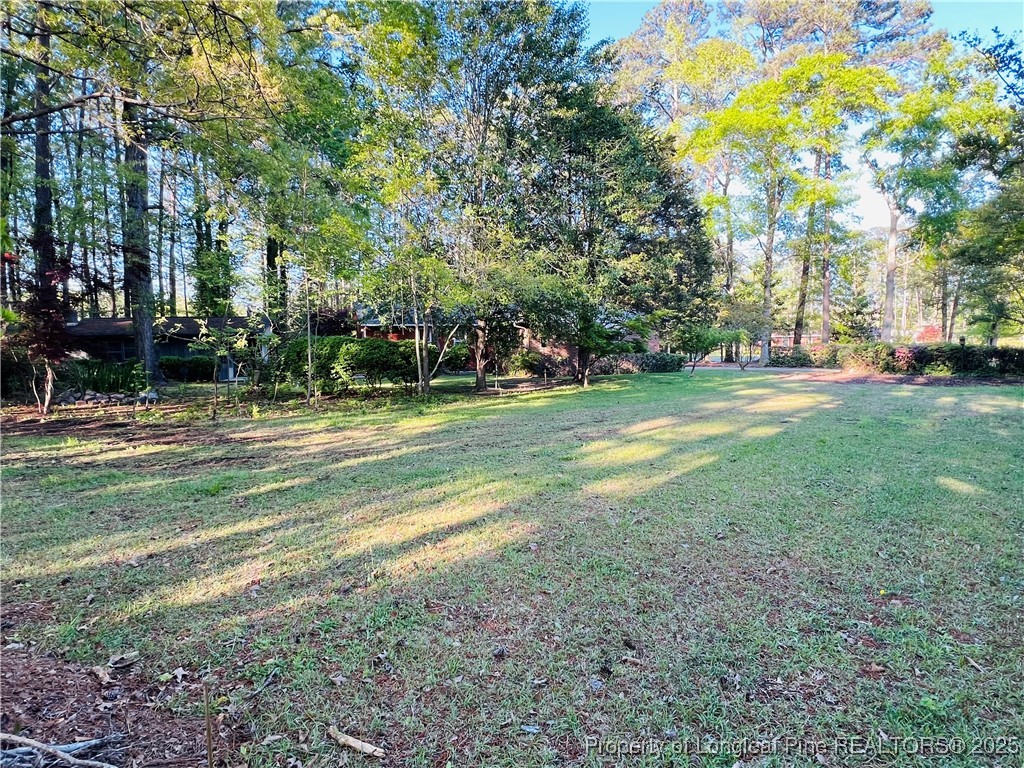 764 Forest Road Lumberton, NC 28358 - Photo 18 of 36