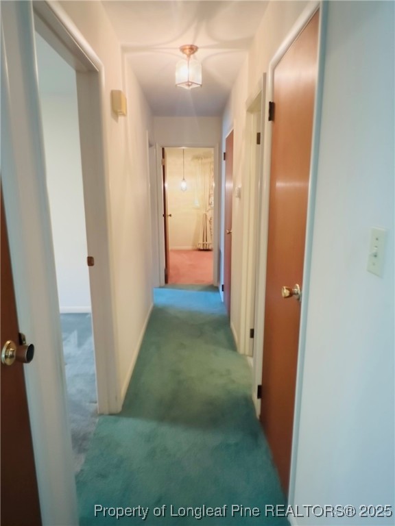 764 Forest Road Lumberton, NC 28358 - Photo 32 of 36