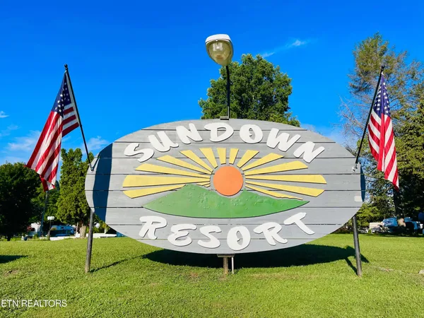 a view of a swimming pool with a backyard