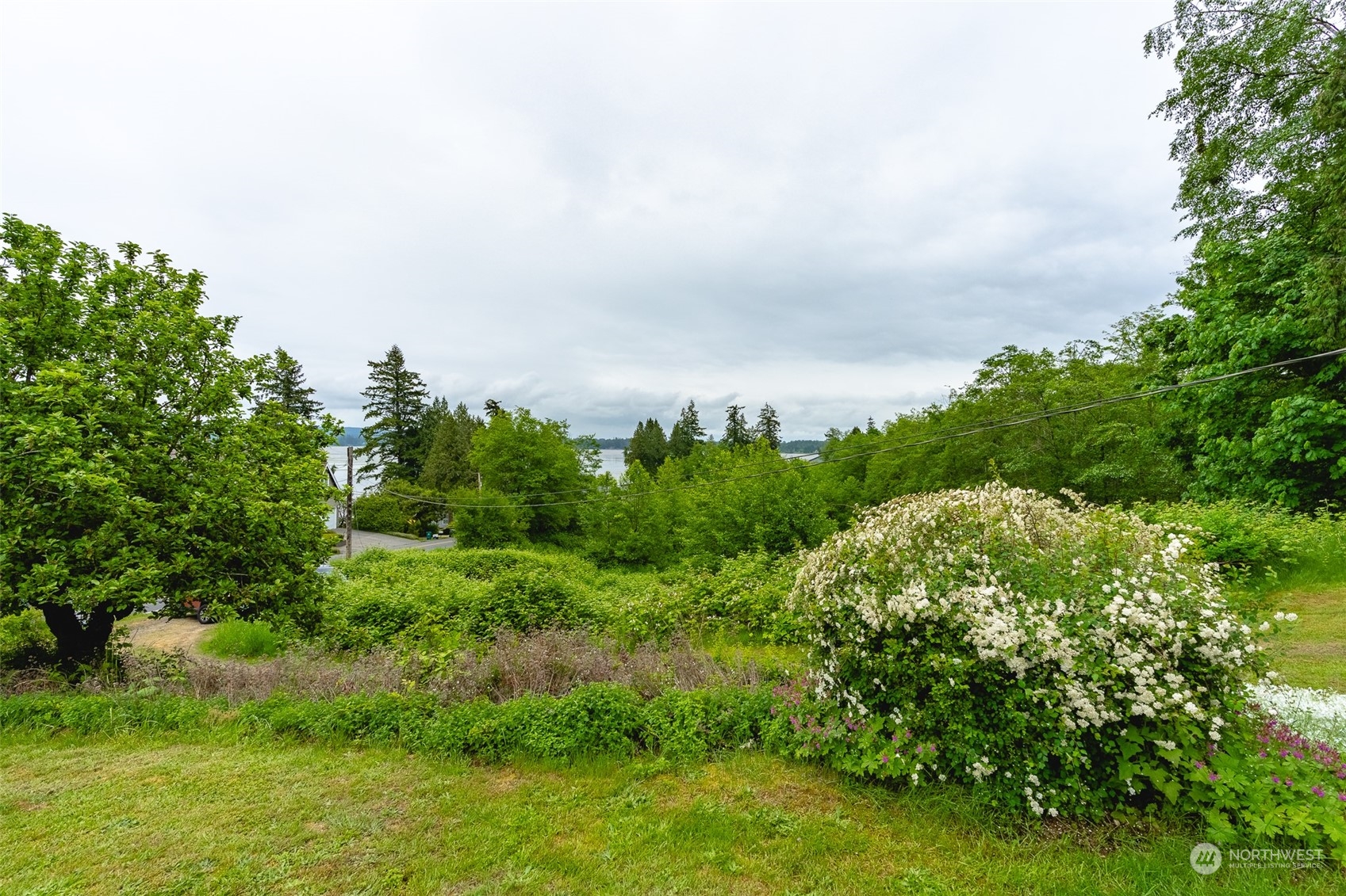 5273 Drayton Harbor Road Blaine, WA 98230 - Photo 11 of 33 a view of a bunch of trees and bushes