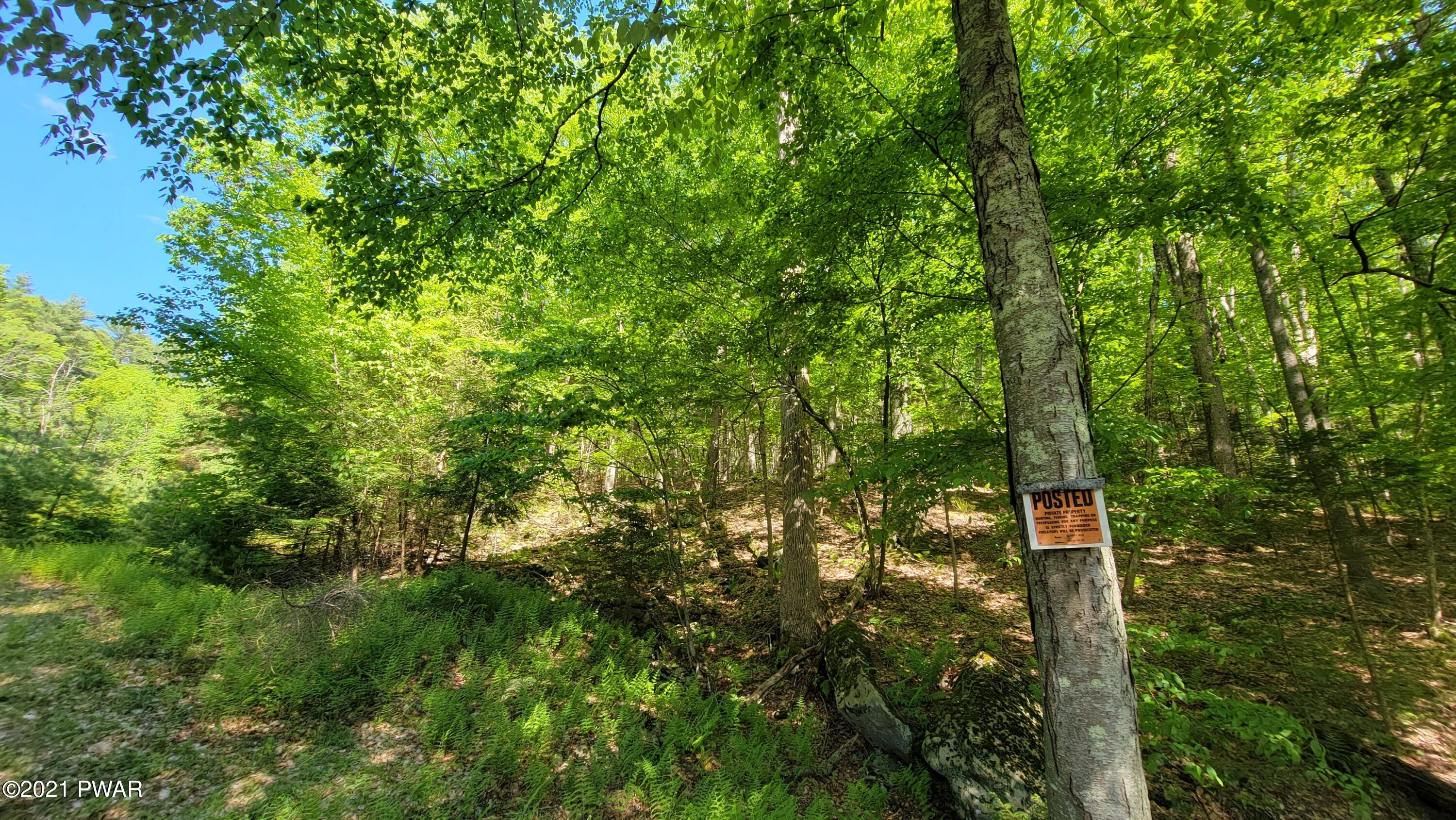 Lot #3 Steges Road Highland Lake, NY 12743 - Photo 5 of 6 20210531_161638