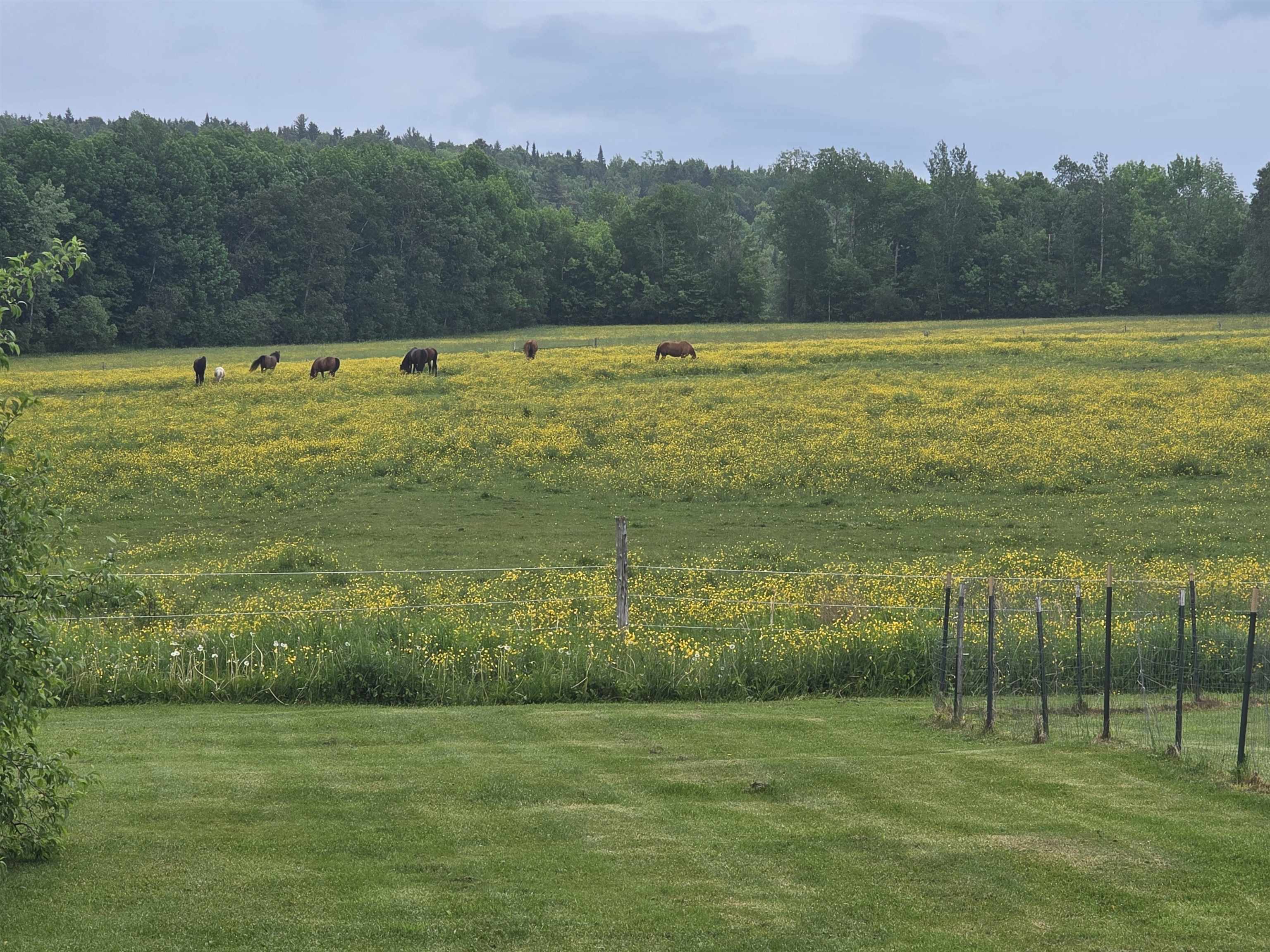 427 Stone Road Williamstown, VT 05679 - Photo 39 of 60