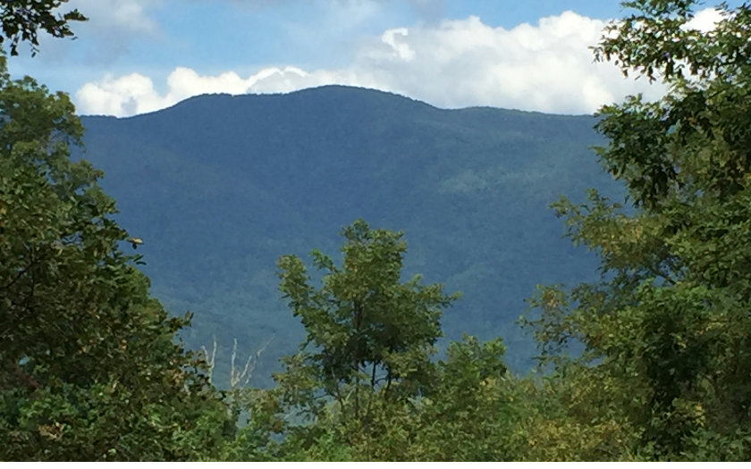 Lot70 Feedbag Ridge Hayesville, NC 28904 - Photo 1 of 1 Main View