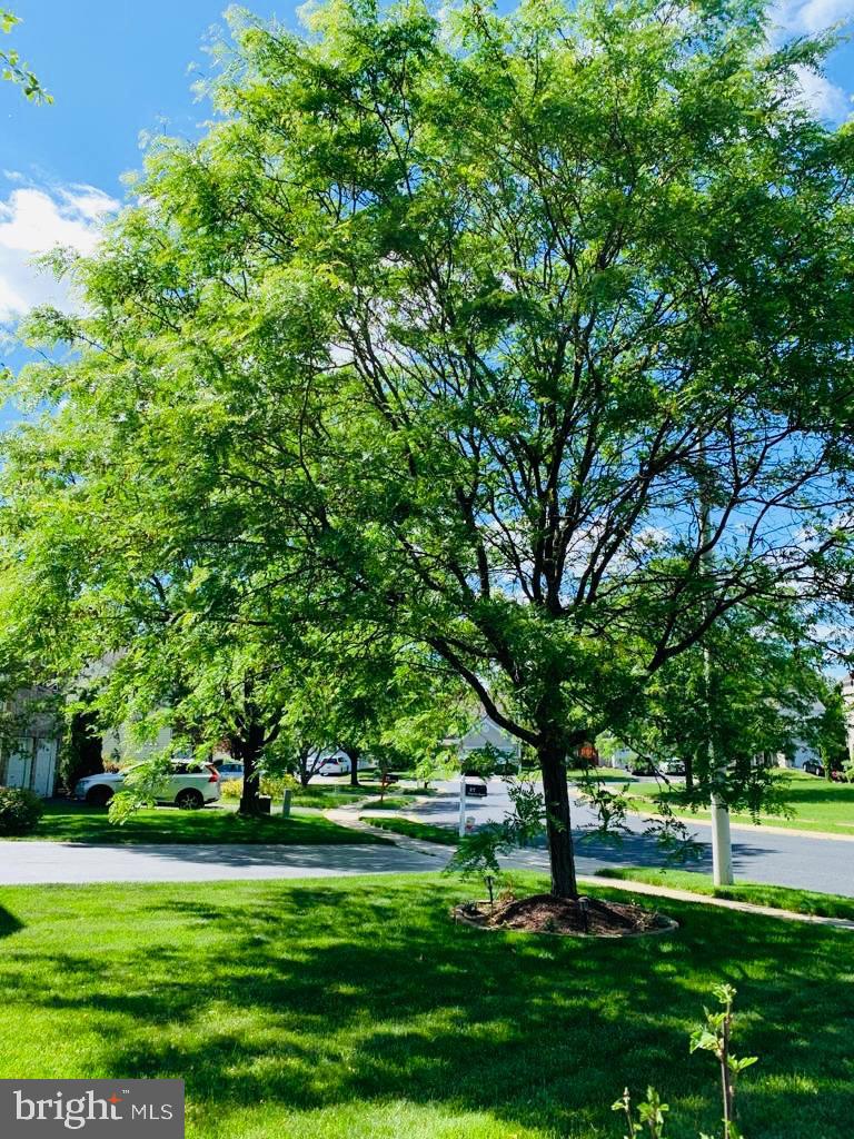 25 Granite Road Hightstown, NJ 08520 - Photo 7 of 42