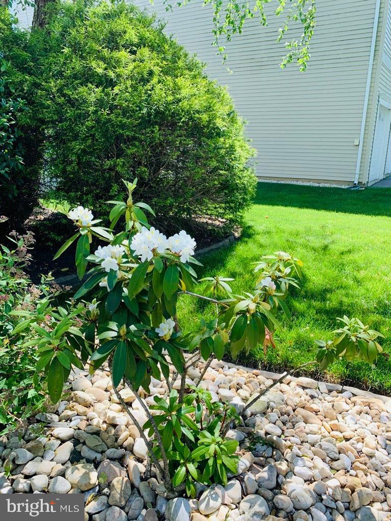 25 Granite Road Hightstown, NJ 08520 - Photo 8 of 42