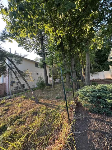 a view of a backyard with large tree