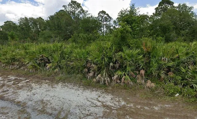 $24,000 | 2020 Scott Avenue, Alva, FL 33920