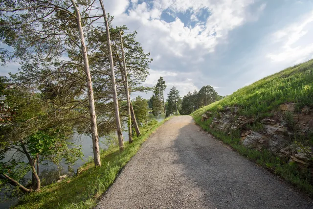 $225,000 | Lot 1 Tanager Cove, Dublin, VA 24084