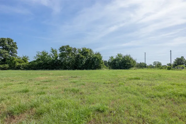a view of a field with trees in background