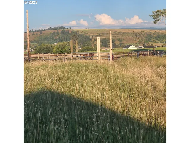 a view of outdoor space and yard