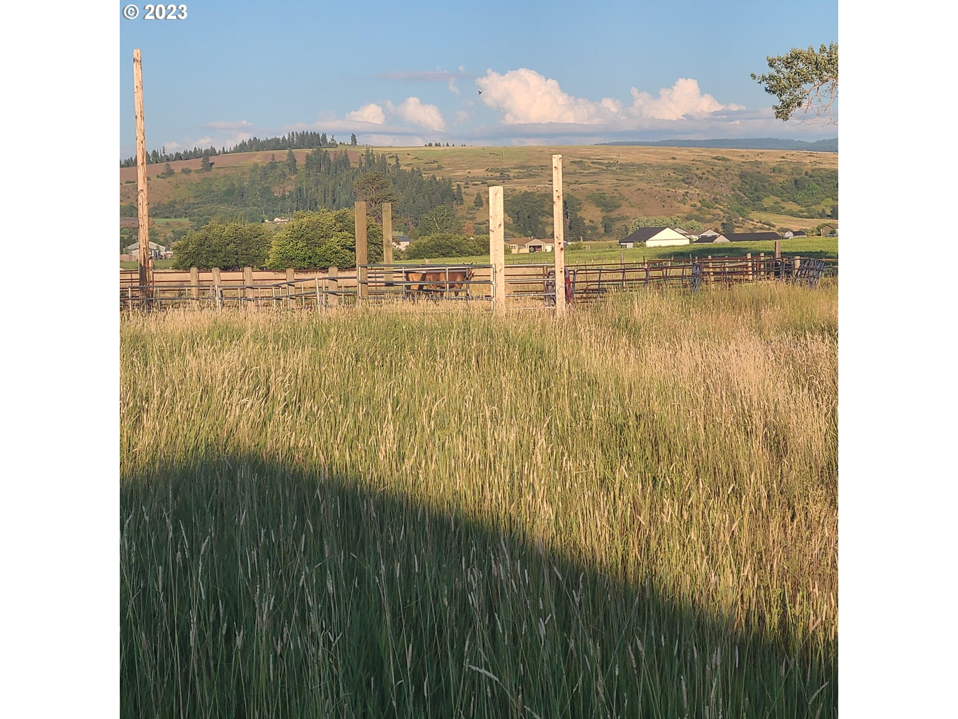 70775 Middle Road Elgin, OR 97827 - Photo 16 of 40