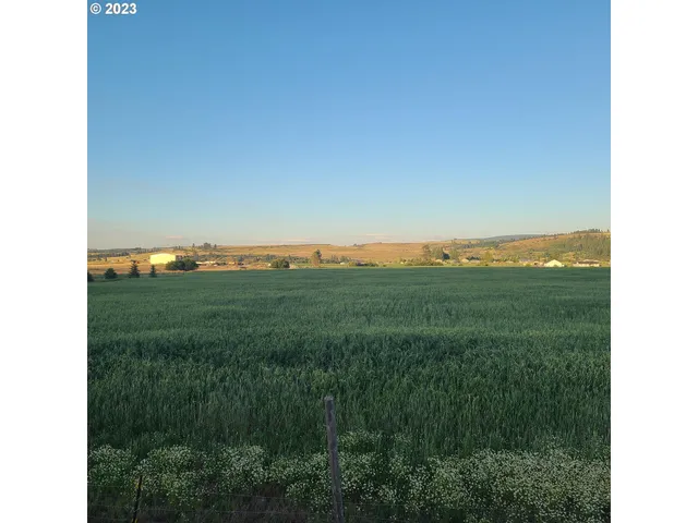 a view of a green field with lots of green space