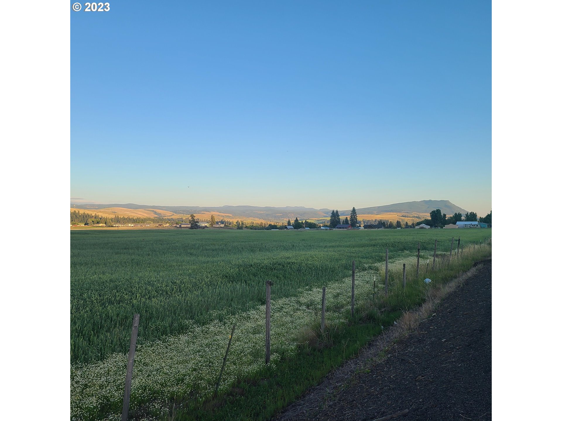 70775 Middle Road Elgin, OR 97827 - Photo 18 of 40 a view of a green field with lots of green space