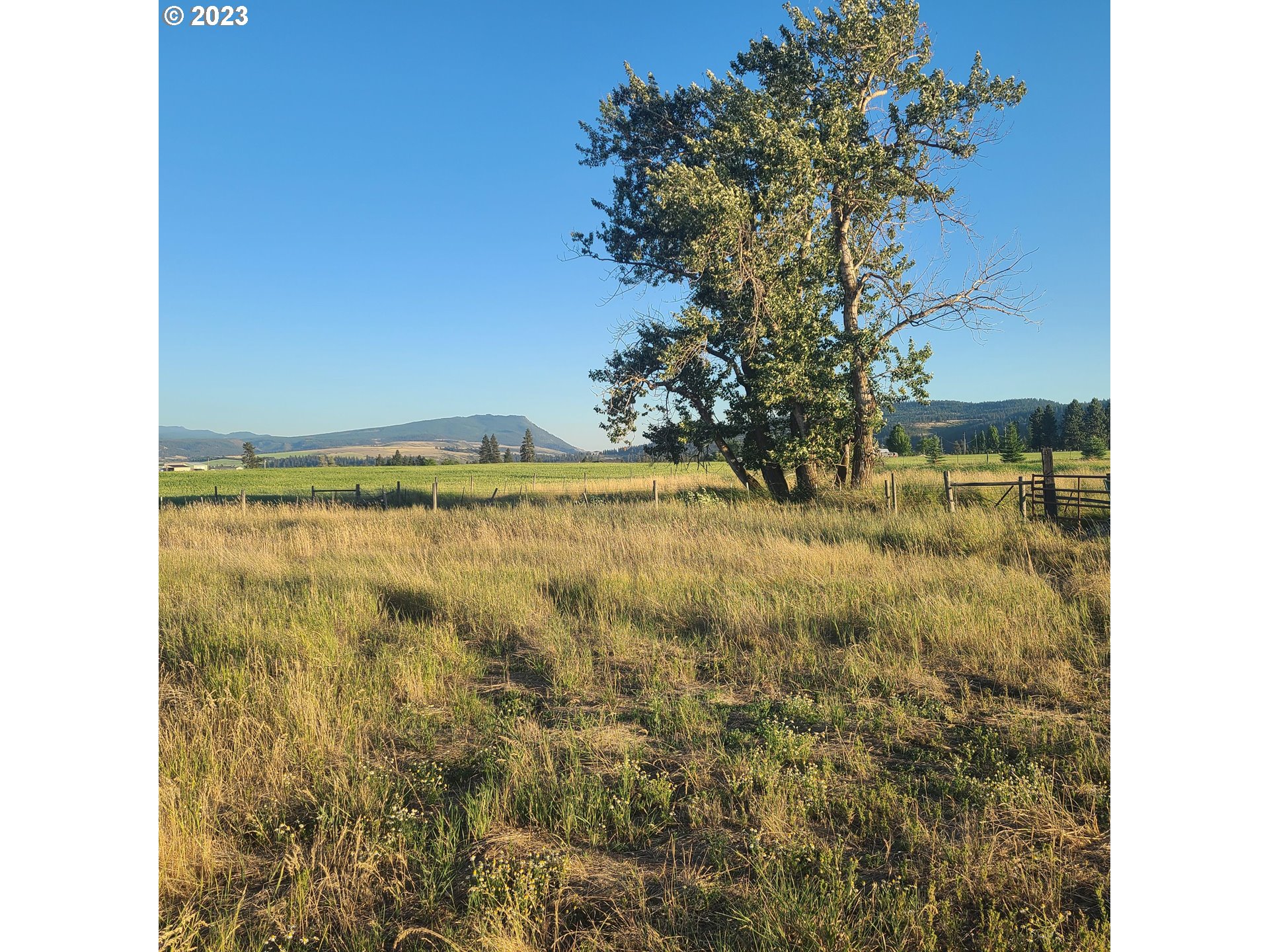 70775 Middle Road Elgin, OR 97827 - Photo 2 of 40 a view of a lake view