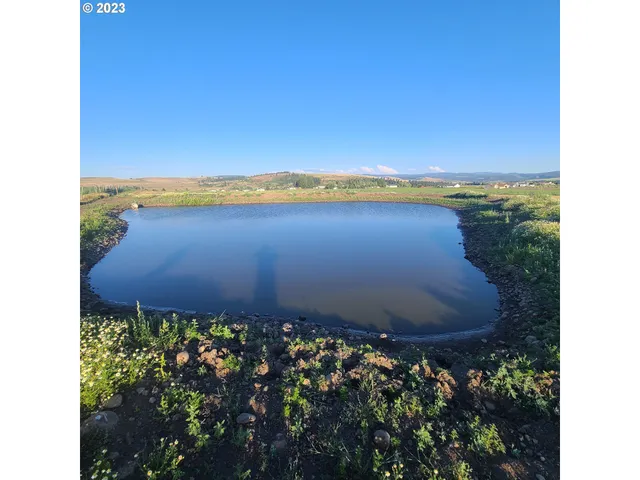 a view of a pathway in a backyard of a house