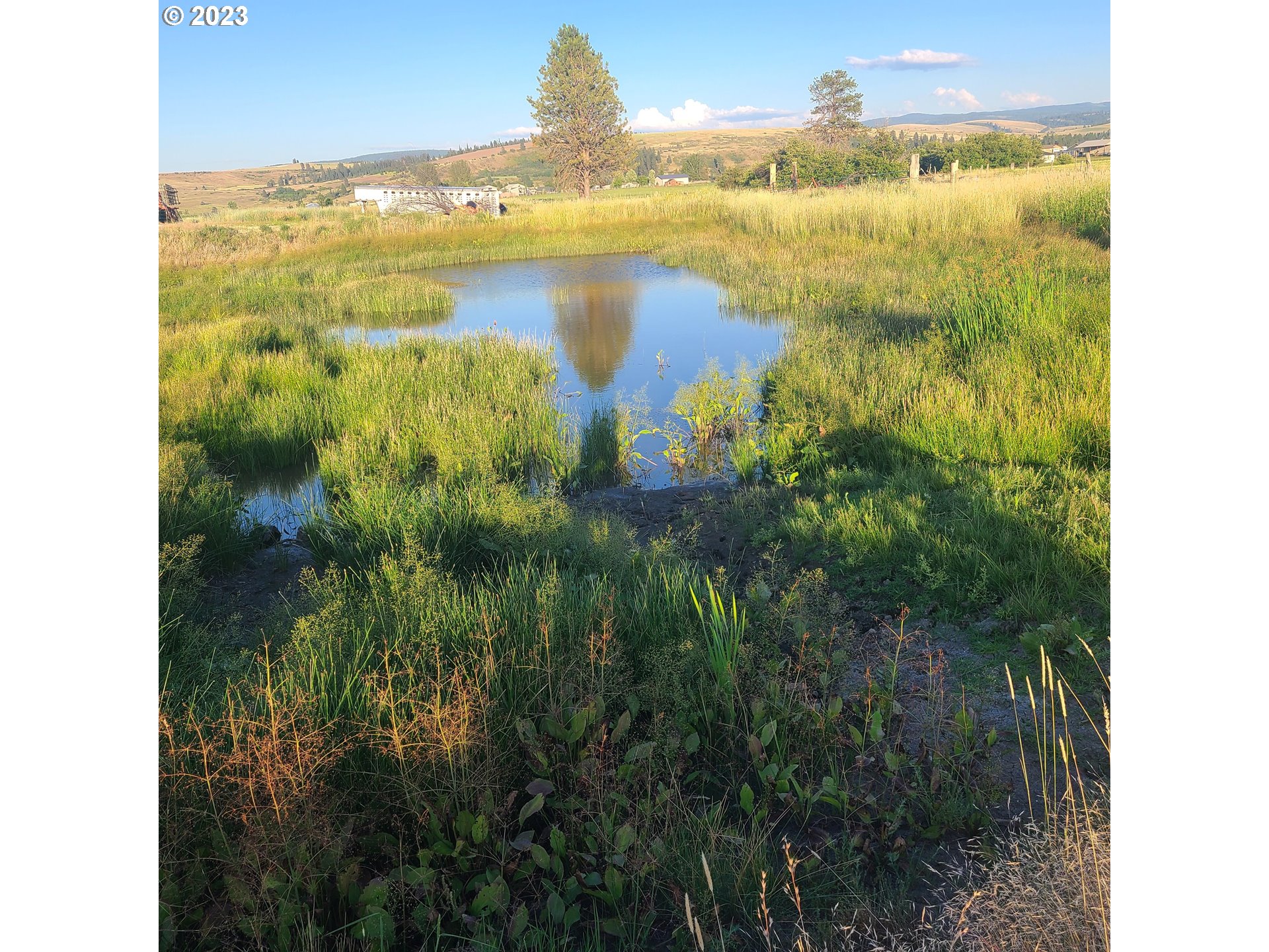 70775 Middle Road Elgin, OR 97827 - Photo 6 of 40 a view of an ocean and a beach