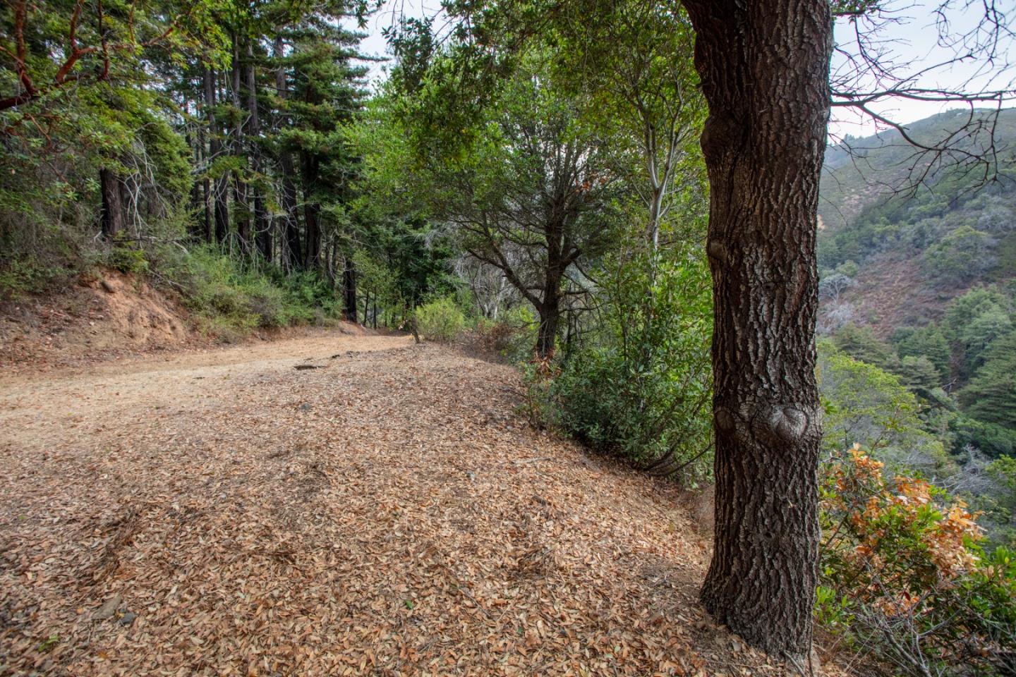 9661 Sycamore Canyon Road Big Sur, CA 93920 - Photo 11 of 26 a view of outdoor space and yard