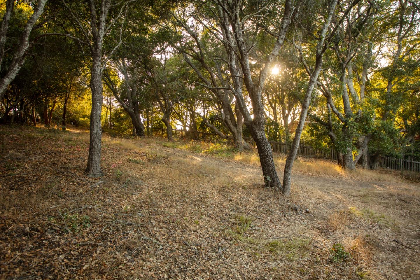 9661 Sycamore Canyon Road Big Sur, CA 93920 - Photo 17 of 26 a view of a yard with trees