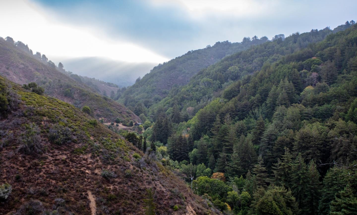 9661 Sycamore Canyon Road Big Sur, CA 93920 - Photo 5 of 26 a view of a city with lush green forest