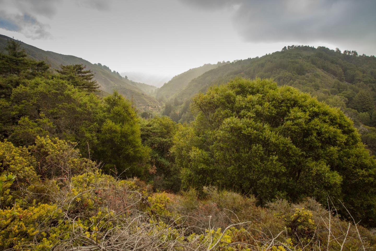 9661 Sycamore Canyon Road Big Sur, CA 93920 - Photo 6 of 26 a view of a mountain