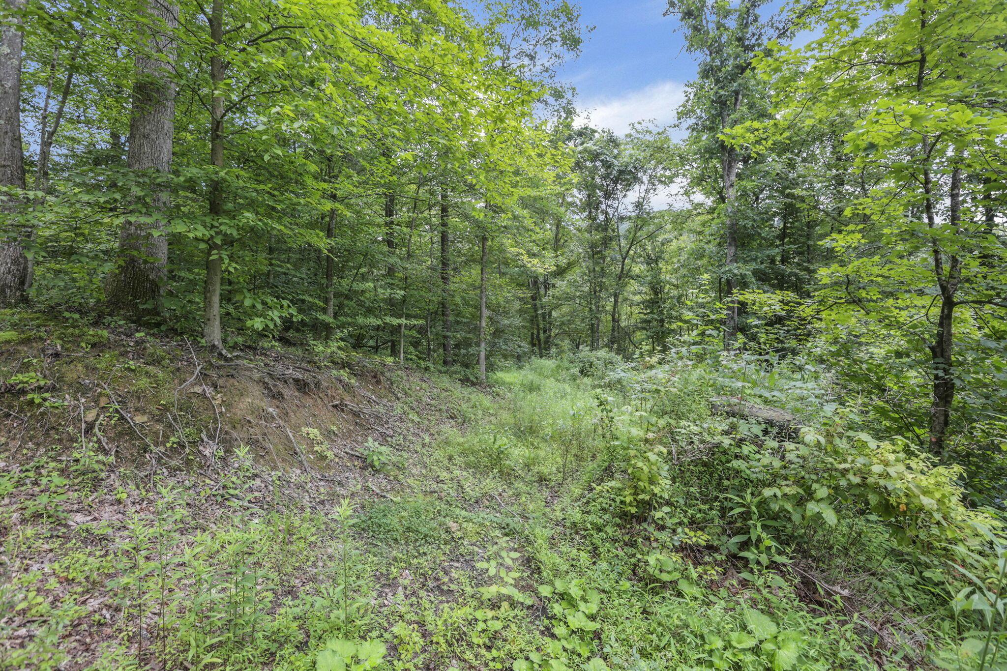 0 Greens Run Road Glouster, OH 45732 - Photo 111 of 121 111-web-or-mls-LO5A2121