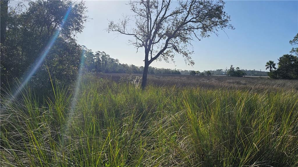 304 Burford Road Brunswick, GA 31523 - Photo 1 of 5