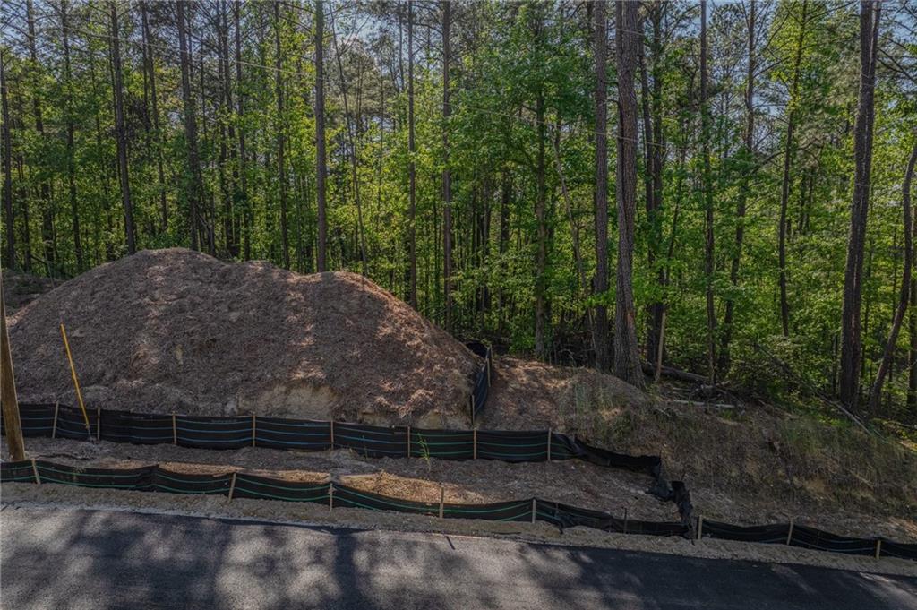 1559 Whitley Road Dacula, GA 30019 - Photo 29 of 34 a view of backyard with green space