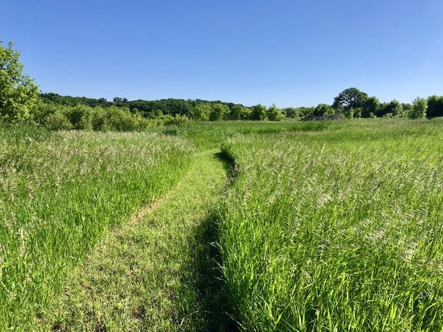 14964 Mill Road Capron, IL 61012 - Photo 6 of 25 a view of a field with a tree in the background