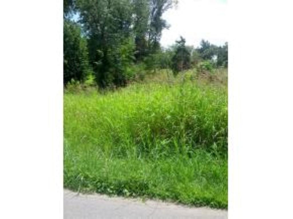 582 Newt Good Road, Unit 1 Limestone, TN 37681 - Photo 3 of 4 Photo 3