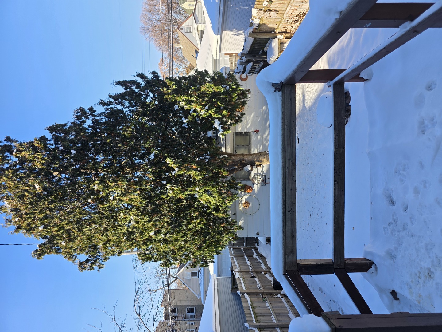 4310 North Central Park Avenue Chicago, IL 60618 - Photo 11 of 15 a view of a house with a tree