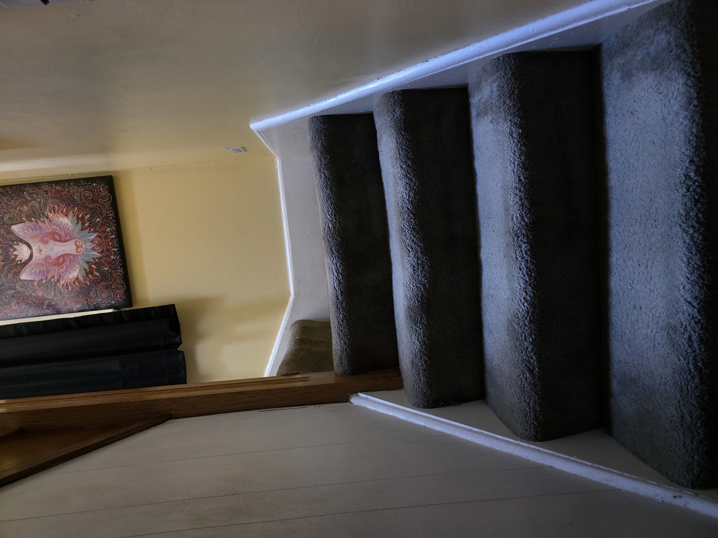 4310 North Central Park Avenue Chicago, IL 60618 - Photo 8 of 15 a view of walk in closet