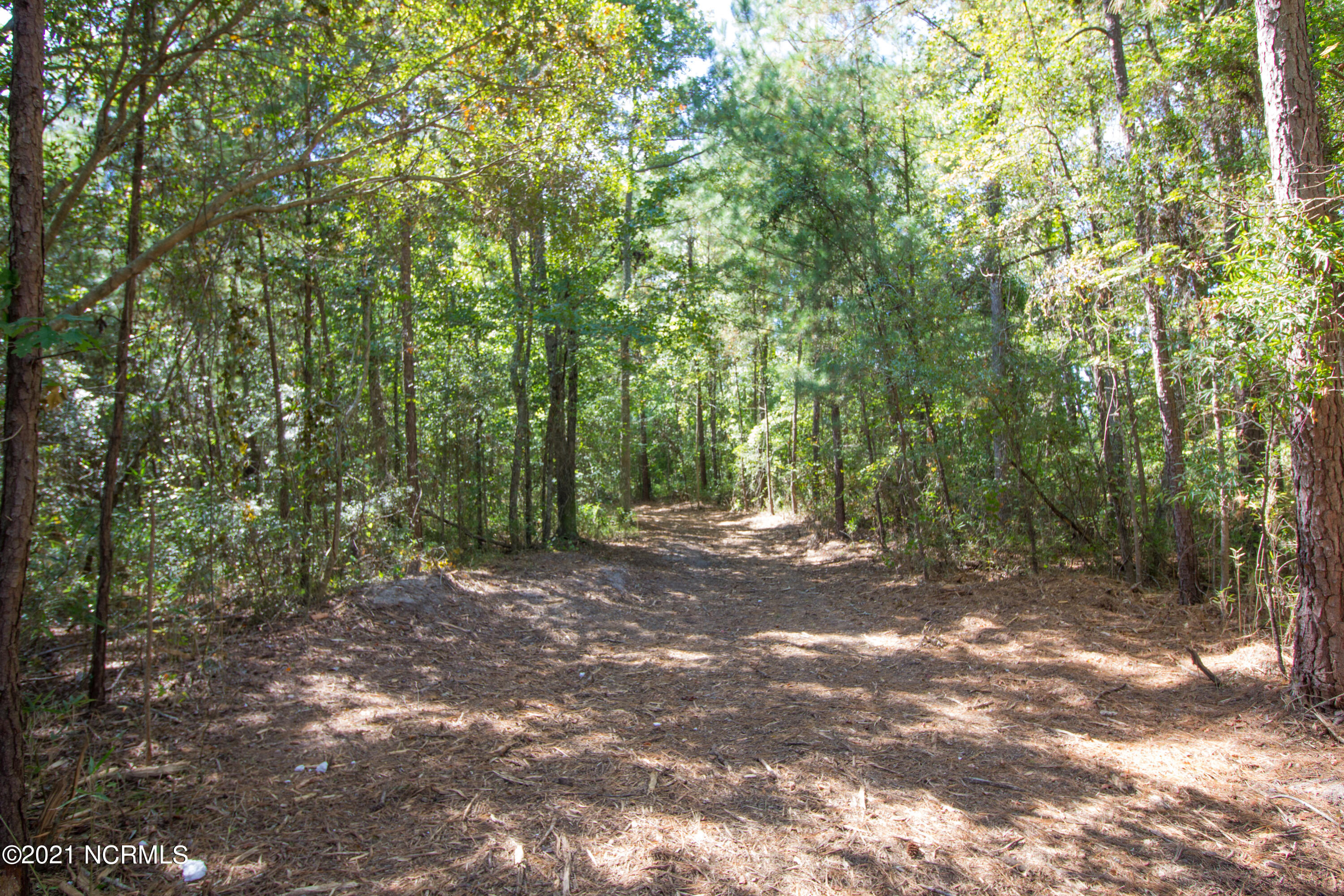 77 Wheat Patch Road Belhaven, NC 27810 - Photo 5 of 26 IMG_3530a