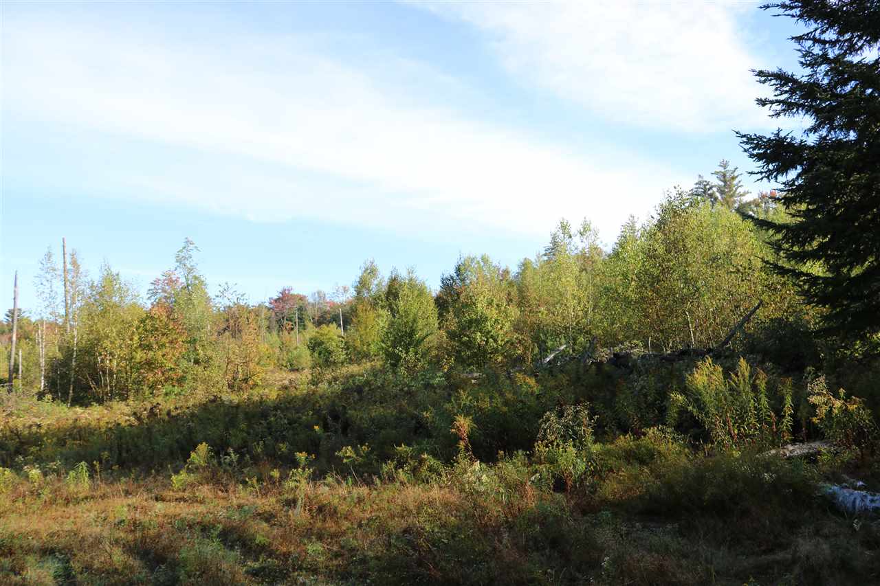 0 Billings Farm Road Ripton, VT 05766 - Photo 1 of 5