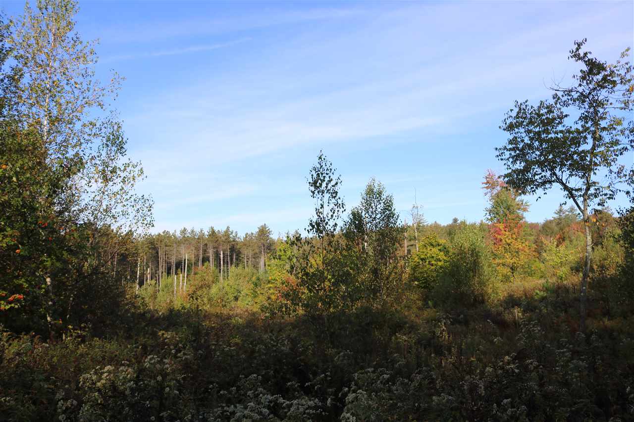 0 Billings Farm Road Ripton, VT 05766 - Photo 3 of 5