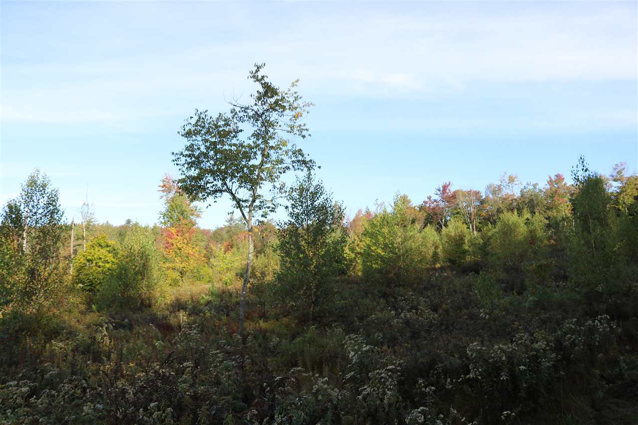 0 Billings Farm Road Ripton, VT 05766 - Photo 4 of 5