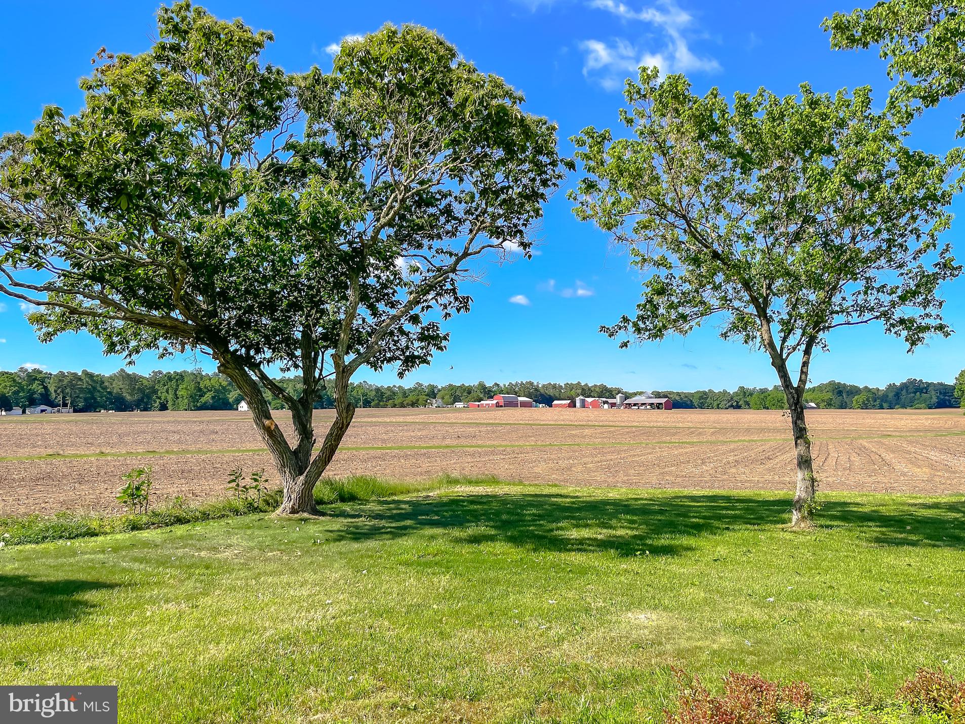 21859 Indian Bridge Road California, MD 20619 - Photo 7 of 42