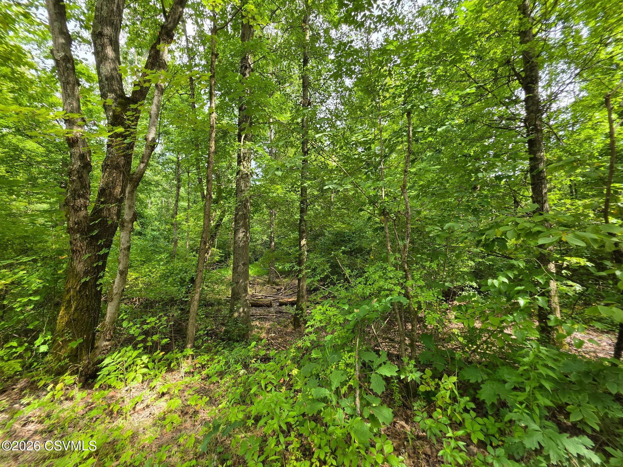 6102 Troxelville Road Beavertown, PA 17813 - Photo 2 of 43 Gallery Image 2