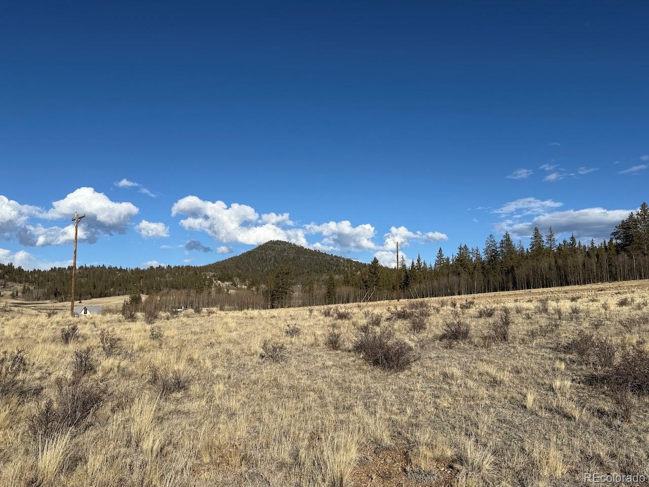 425 Haida Road Jefferson, CO 80456 - Photo 14 of 17