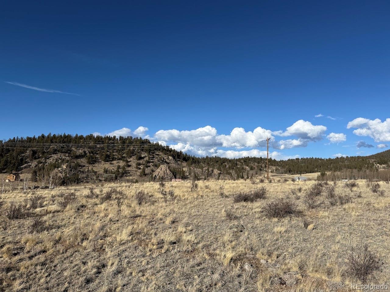 425 Haida Road Jefferson, CO 80456 - Photo 6 of 17