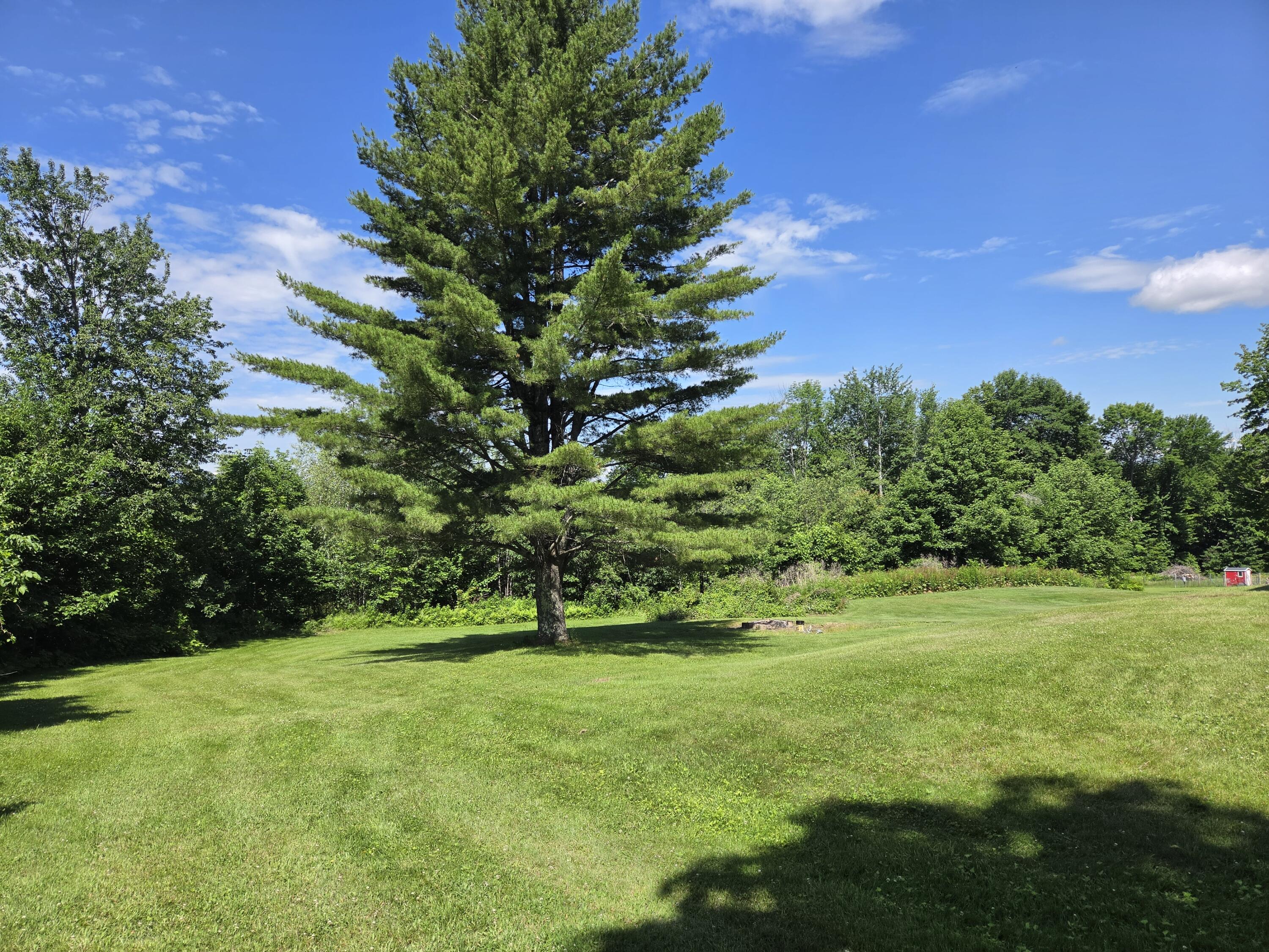 220 Macomber Hill Road Jay, ME 04239 - Photo 39 of 48 20260625_103440