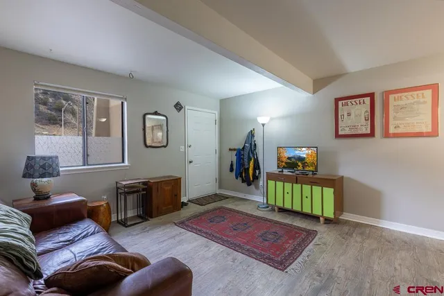 a living room with furniture rug and window