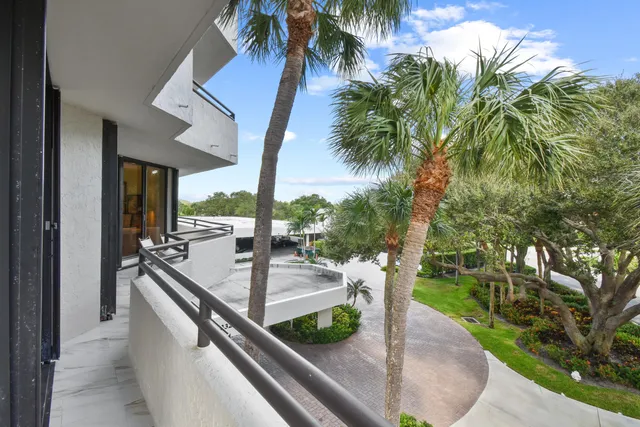 a view of a patio with a tree